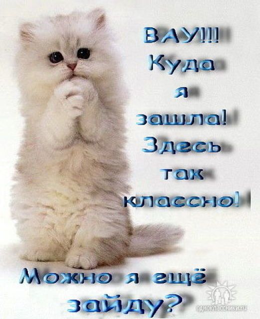 http://cs11.babysfera.ru/f/0/6/0/16325572.m.jpeg