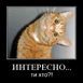 КроКОзяБРА МУРлаКОТамовна
