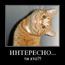 КроКОзяБРА МУРлаКОТамовна КроКОзяБРА МУРлаКОТамовна