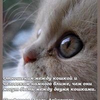 Тонус рук у грудничка Тонус рук у грудничка