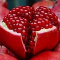 Лзр плода по неделям таблица Лзр плода по неделям таблица