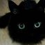 ツХельгаツ ஐツღЧёрныйКотღツஐ ツХельгаツ ஐツღЧёрныйКотღツஐ
